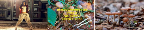 Альфа ПВП Наволоки